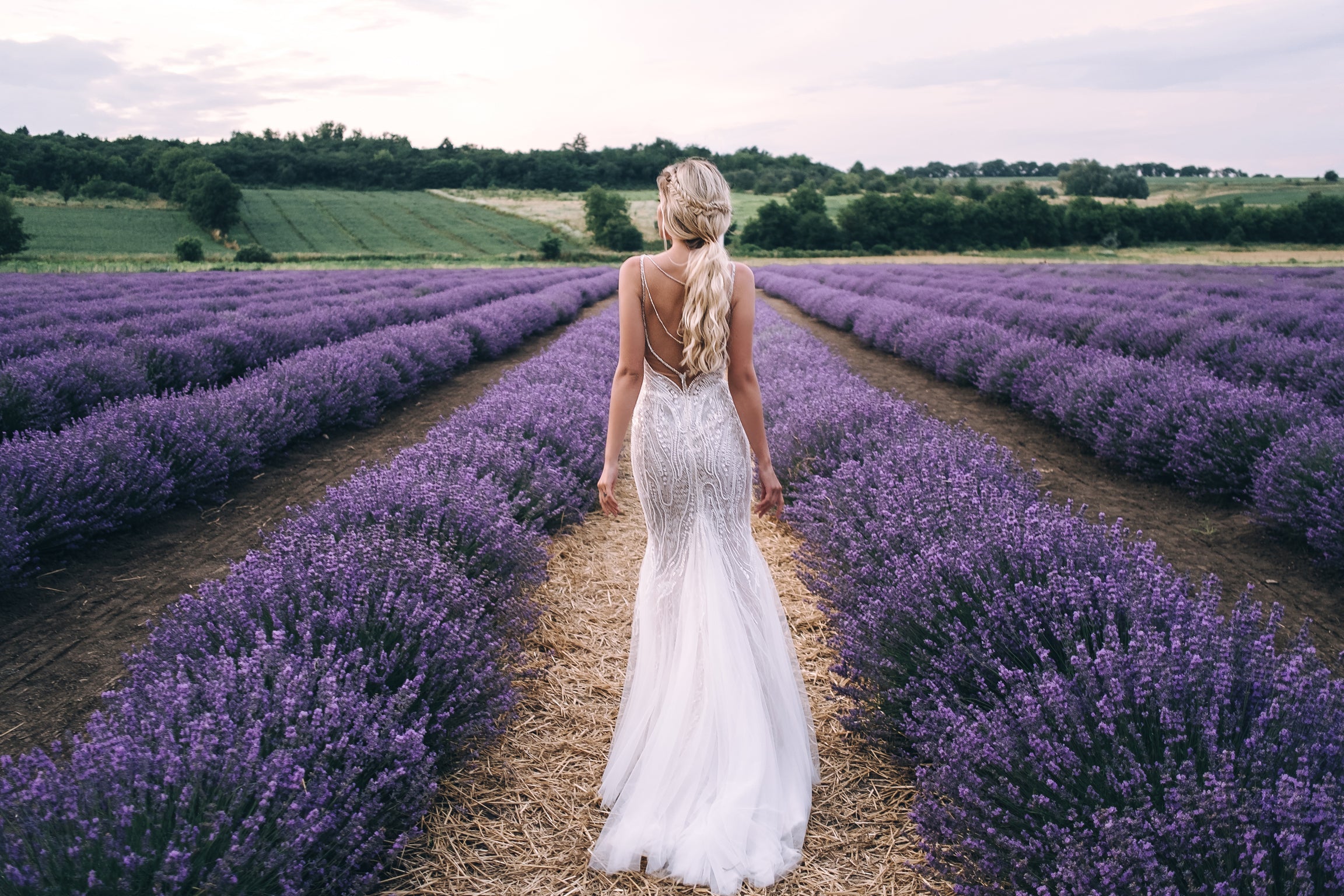 Isabelle - V Neck Open Back  Mermaid Wedding Dress - Maxima Bridal