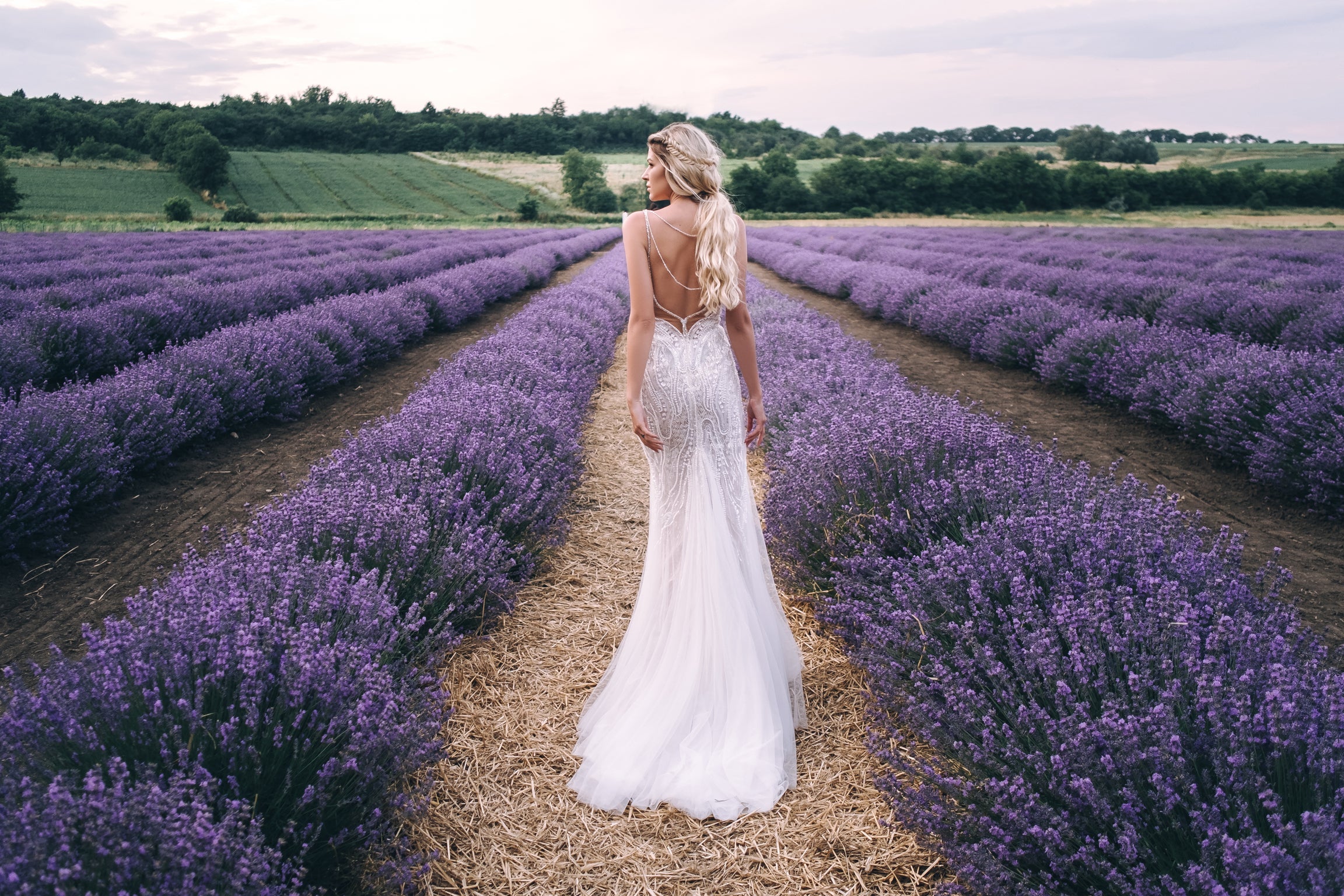 Isabelle - V Neck Open Back  Mermaid Wedding Dress - Maxima Bridal