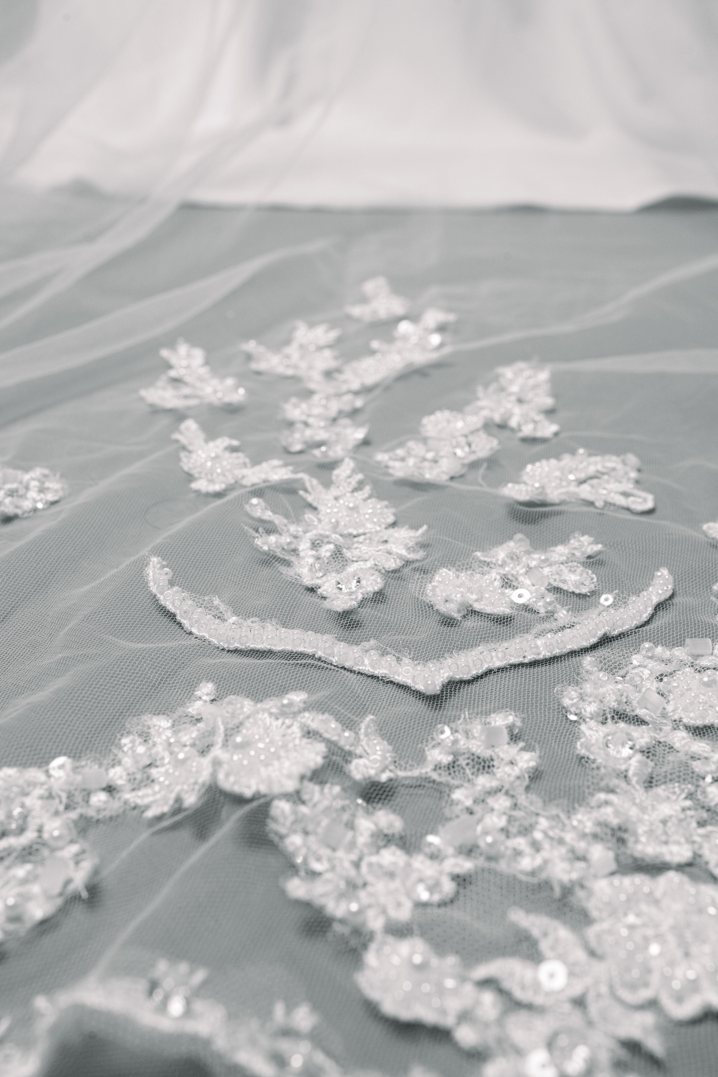 Beaded Cathedral Length Bridal Veil with Lace Applique - Maxima Bridal