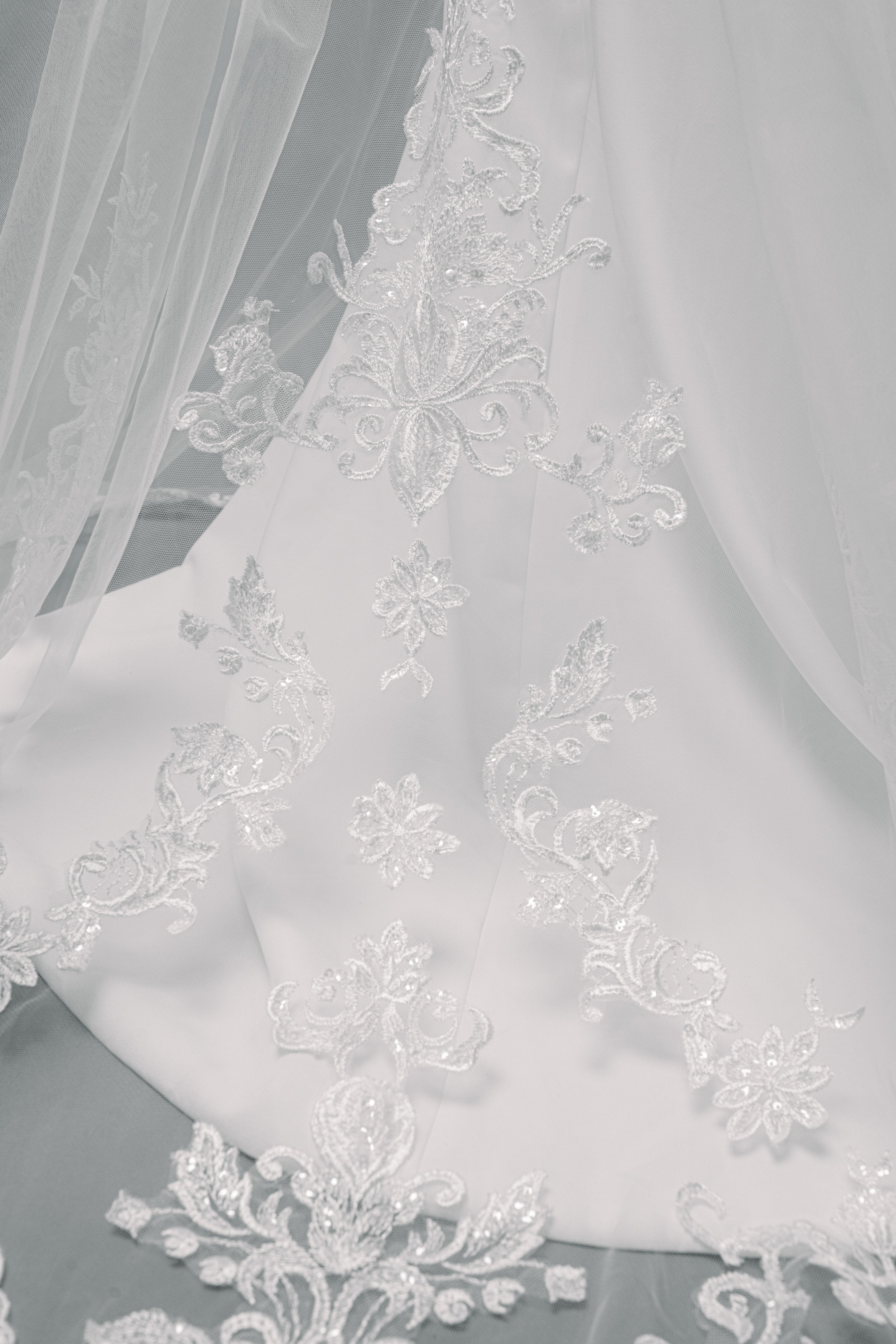 Cathedral Length Bridal Veil with Lace Applique and Sparkly Sequins - Maxima Bridal