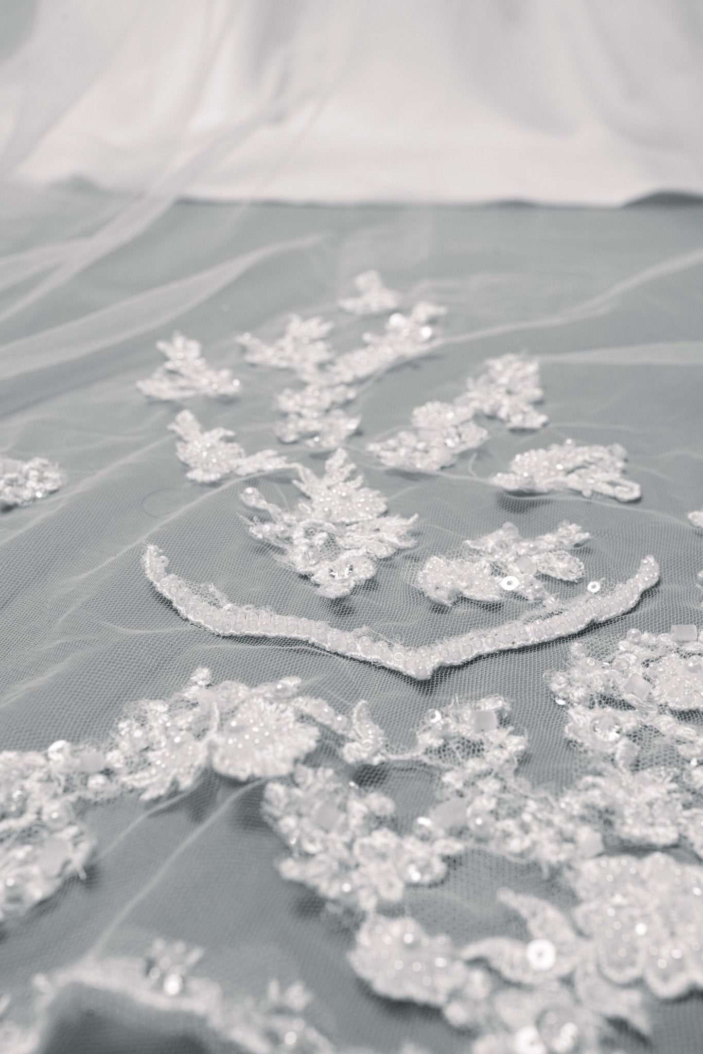 Beaded Cathedral Length Bridal Veil with Lace Applique - Maxima Bridal